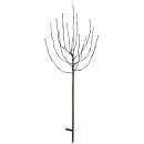 LED-Baum, TOBBY TREE,70-flammig, H 1100