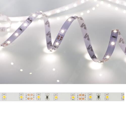 LED-Flexstreifen mit2835-SMD-LEDs, L 5 m,300 LEDs, 6000K,~530 lm/m, ~4,8W/m
